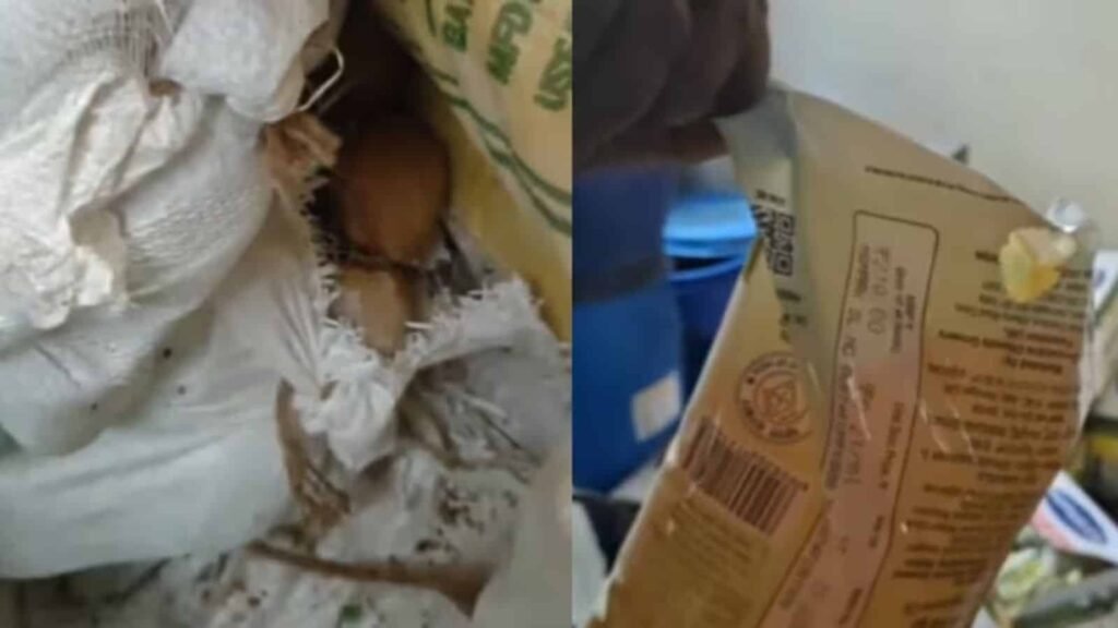 A Zepto warehouse in Hoskote, Bengaluru was sealed after officials found unhygienic conditions, poor storage practices and food safety violations.
